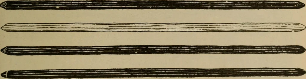 An illustration from Chess and playing cards, 1898, leaf 188