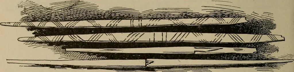 An illustration from Chess and playing cards, 1898, leaf 209