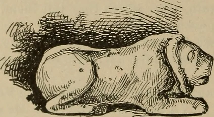 An illustration from Chess and playing cards, 1898, leaf 209