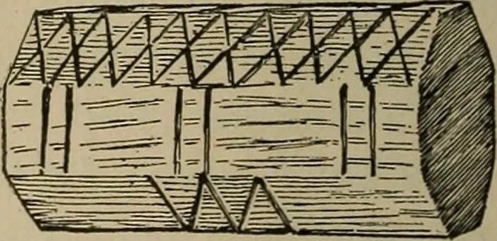 An illustration from Chess and playing cards, 1898, leaf 219