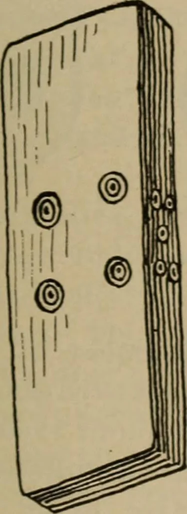 An illustration from Chess and playing cards, 1898, leaf 224