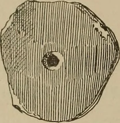 An illustration from Chess and playing cards, 1898, leaf 289