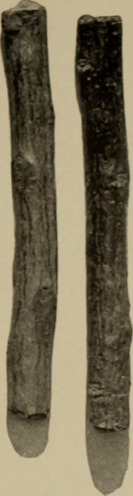 An illustration from Chess and playing cards, 1898, leaf 30