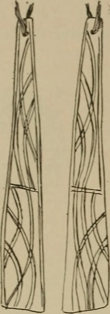 An illustration from Chess and playing cards, 1898, leaf 305