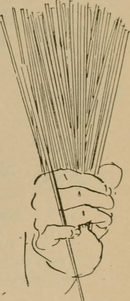 An illustration from Chess and playing cards, 1898, leaf 314