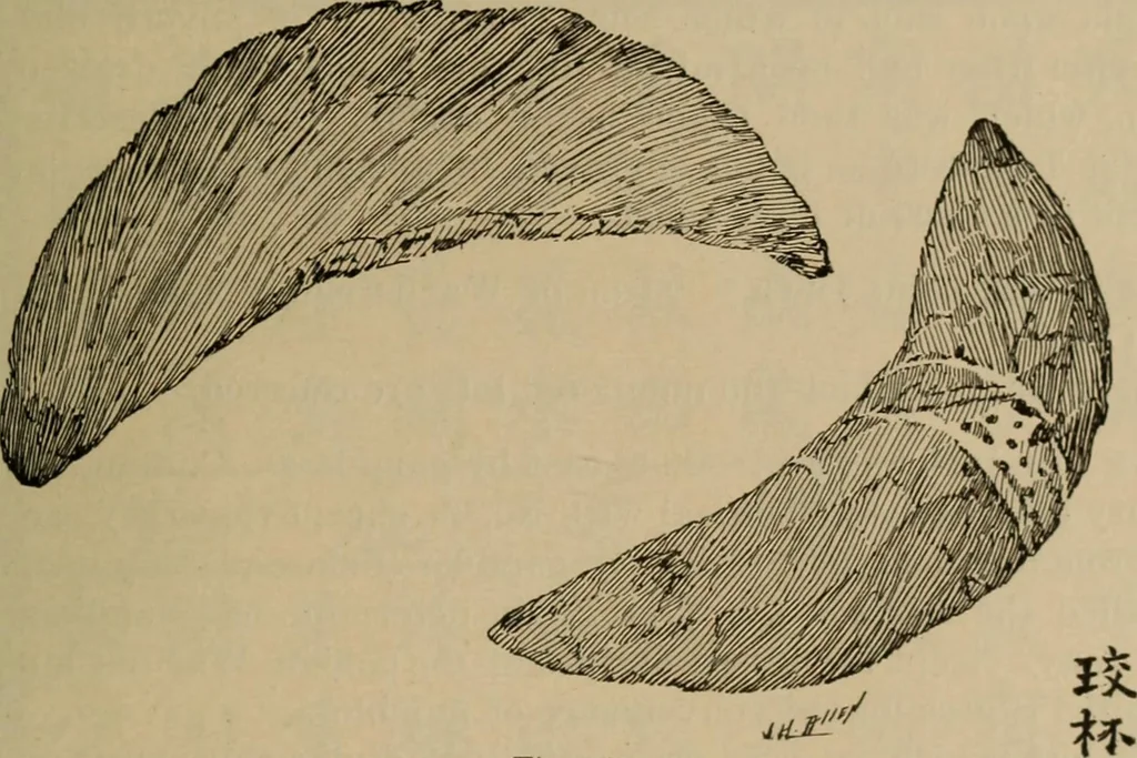 An illustration from Chess and playing cards, 1898, leaf 328