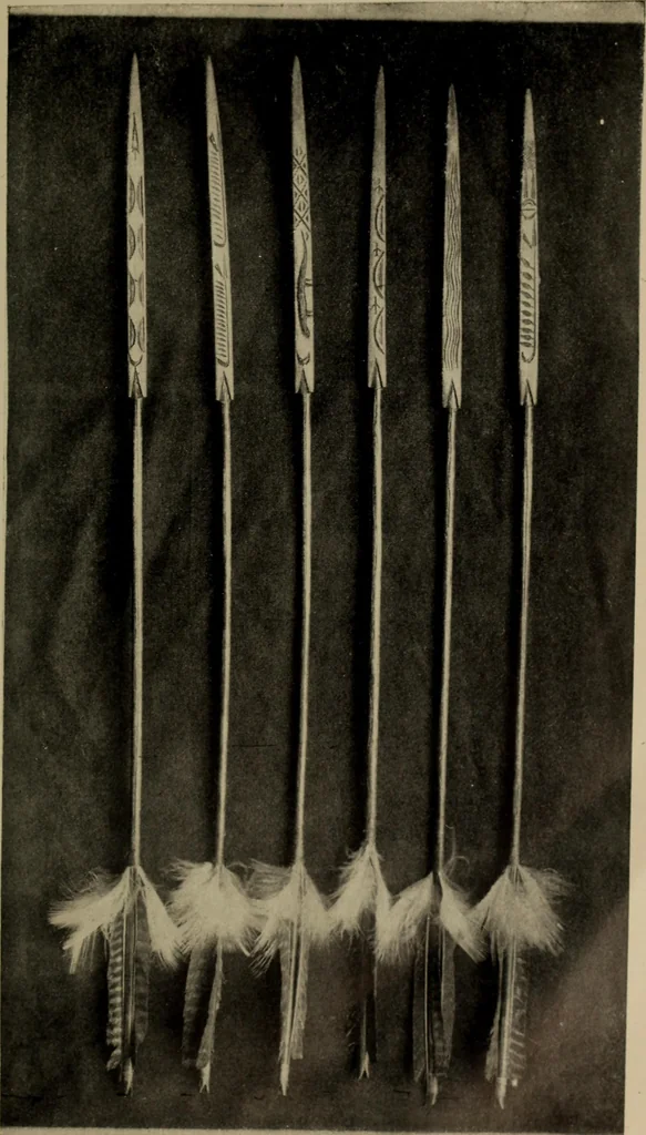 An illustration from Chess and playing cards, 1898, leaf 38