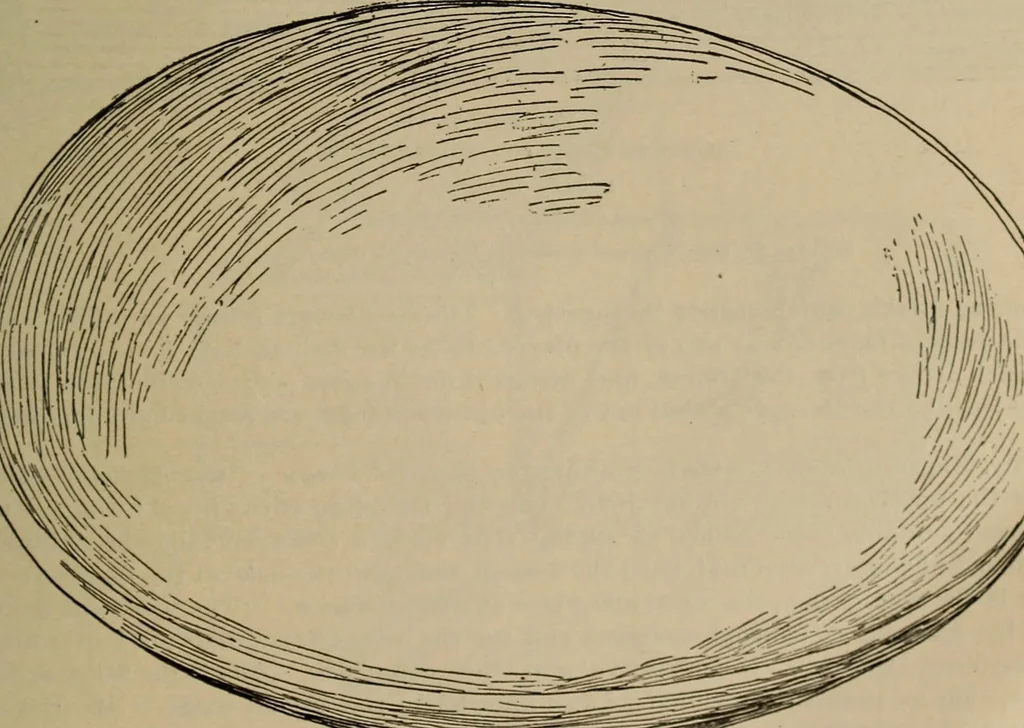 An illustration from Chess and playing cards, 1898, leaf 52