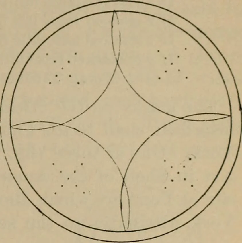 An illustration from Chess and playing cards, 1898, leaf 56