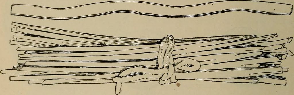 An illustration from Chess and playing cards, 1898, leaf 59