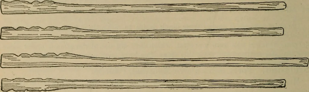 An illustration from Chess and playing cards, 1898, leaf 61