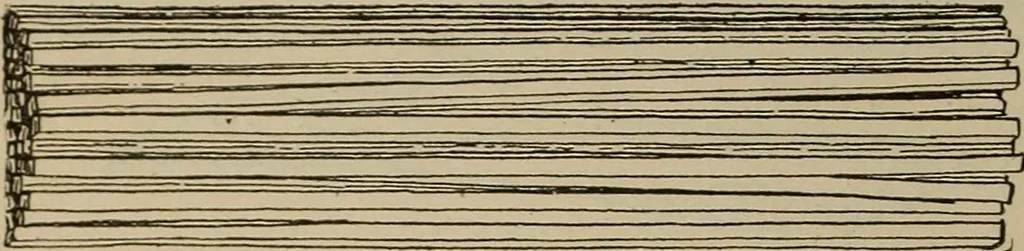 An illustration from Chess and playing cards, 1898, leaf 63