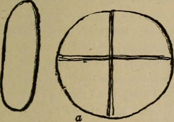 An illustration from Chess and playing cards, 1898, leaf 64