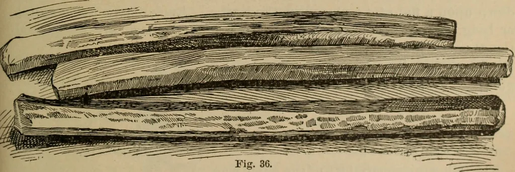 An illustration from Chess and playing cards, 1898, leaf 70