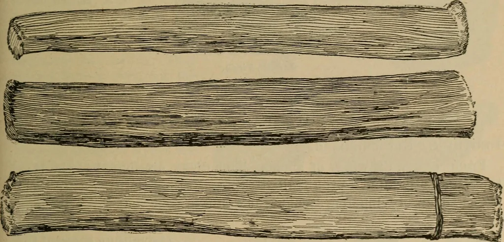 An illustration from Chess and playing cards, 1898, leaf 72
