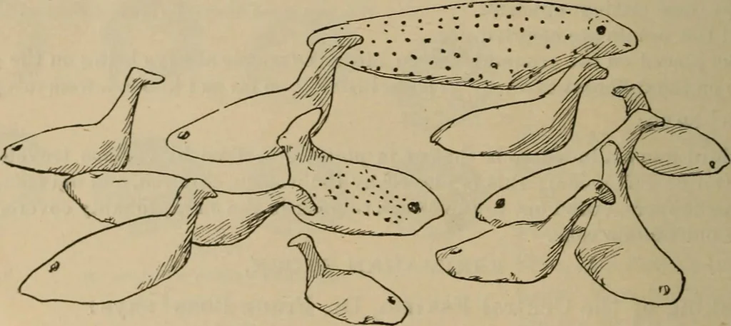 An illustration from Chess and playing cards, 1898, leaf 75