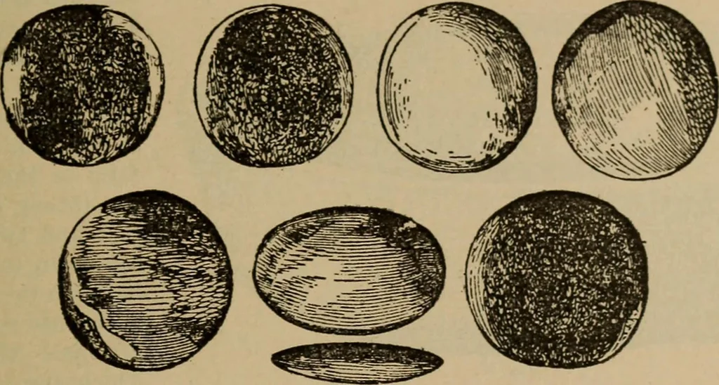 An illustration from Chess and playing cards, 1898, leaf 84