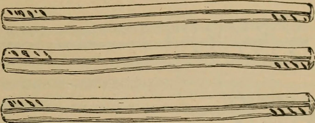 An illustration from Chess and playing cards, 1898, leaf 90