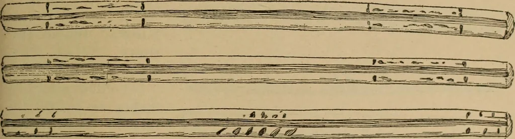 An illustration from Chess and playing cards, 1898, leaf 92