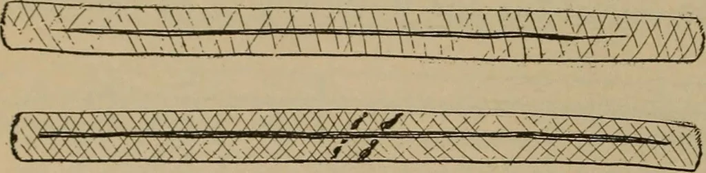 An illustration from Chess and playing cards, 1898, leaf 93