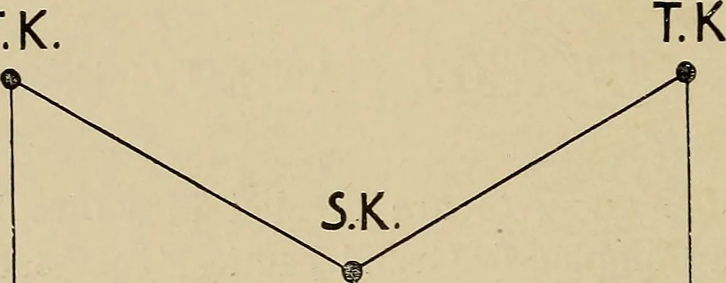 An illustration from Chess strategics illustrated;, 1900, leaf 191
