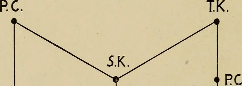 An illustration from Chess strategics illustrated;, 1900, leaf 193