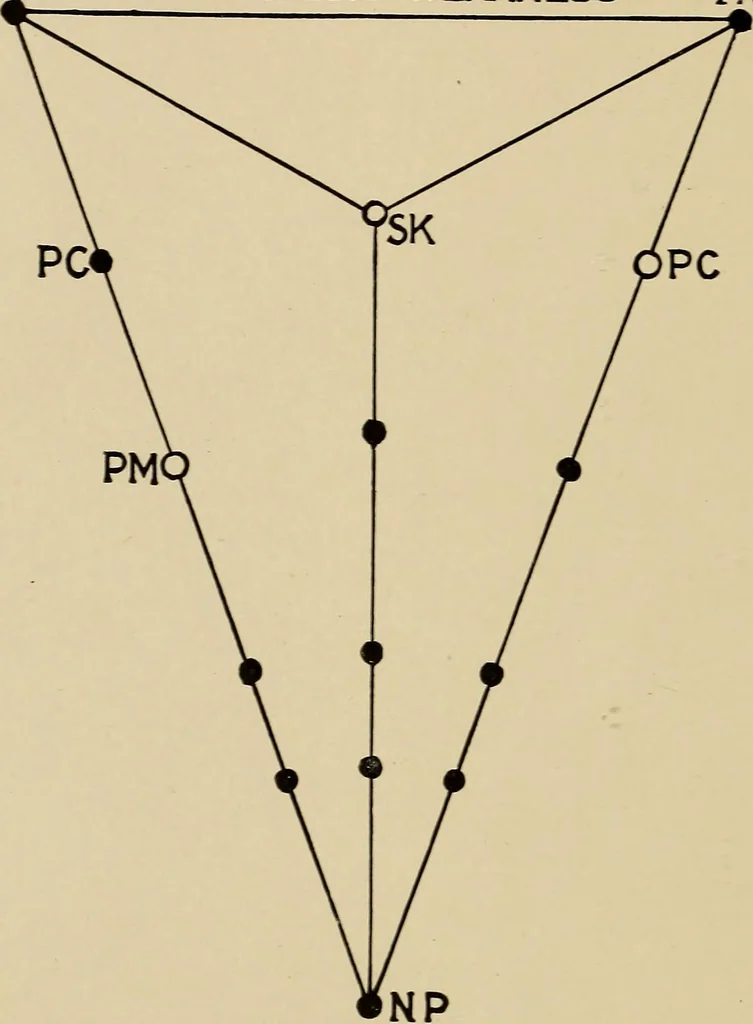 An illustration from Chess strategics illustrated;, 1900, leaf 209