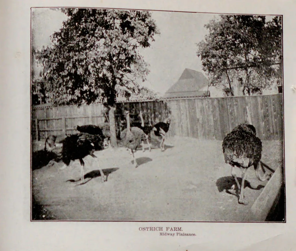 An illustration from Chicago Tribune glimpses of the World's fair; a selection of gems of the White city seen through the Tribune's camera, 1893, leaf 193