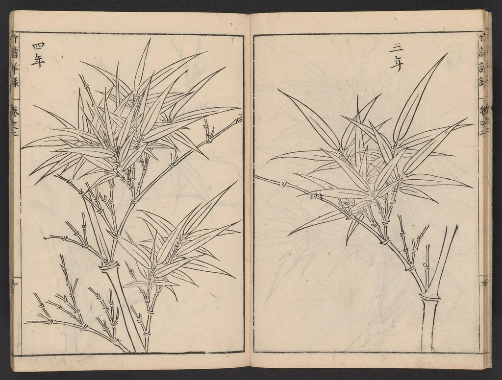 An illustration from Chikufu shōroku, 1756, leaf 11