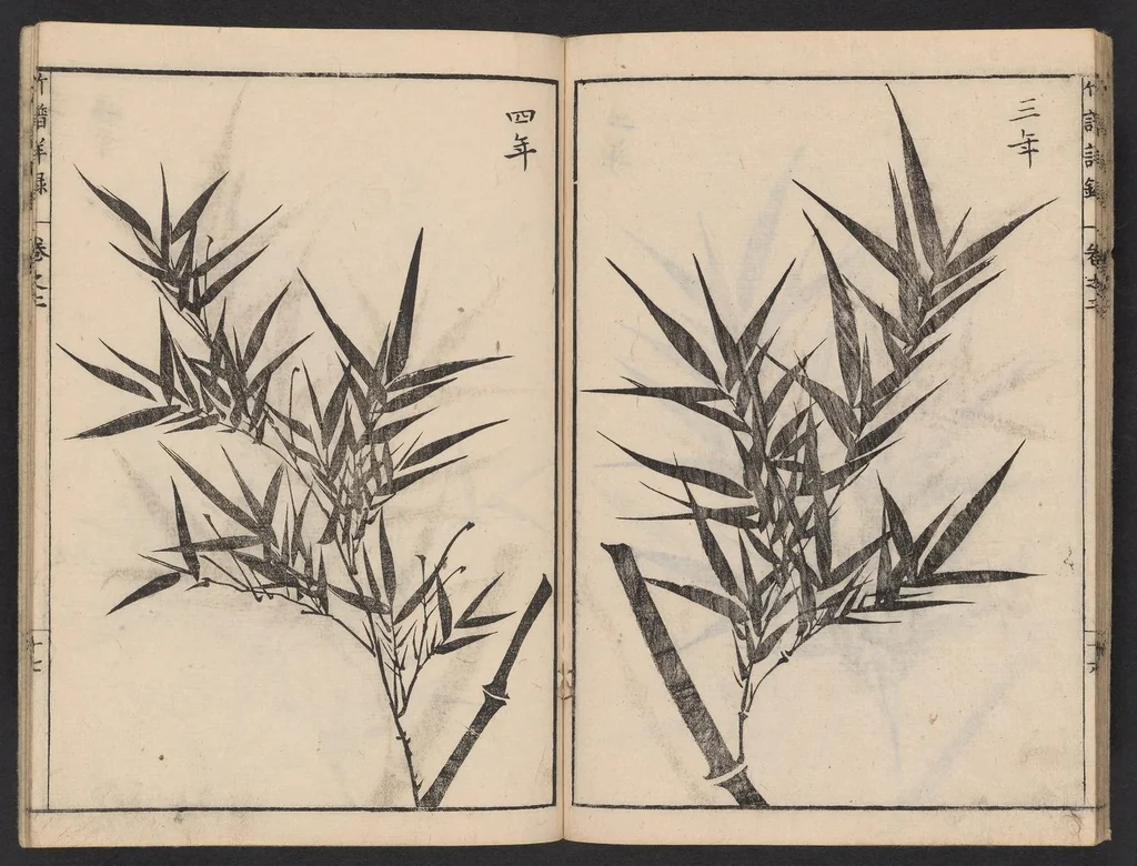 An illustration from Chikufu shōroku, 1756, leaf 18