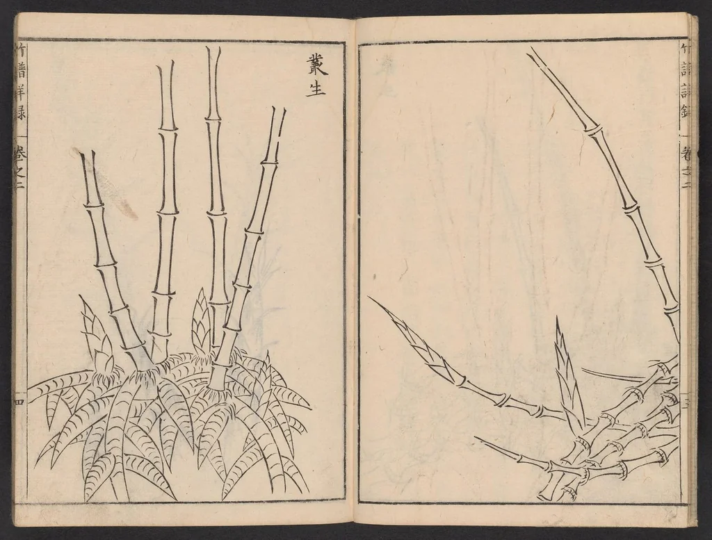 An illustration from Chikufu shōroku, 1756, leaf 5