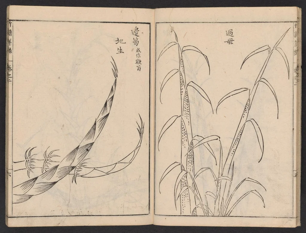 An illustration from Chikufu shōroku, 1756, leaf 7