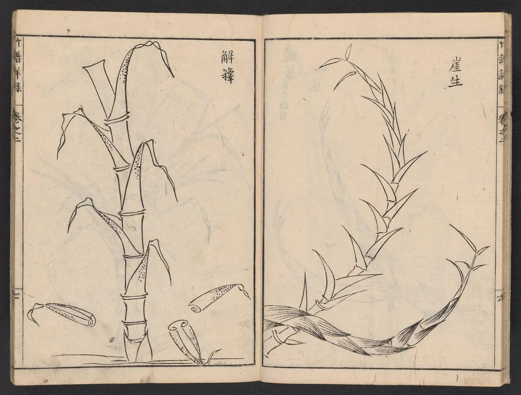 An illustration from Chikufu shōroku, 1756, leaf 8