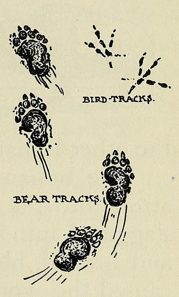 An illustration from The childhood of Ji-shib ́: the Ojibwa, 1900, leaf 83