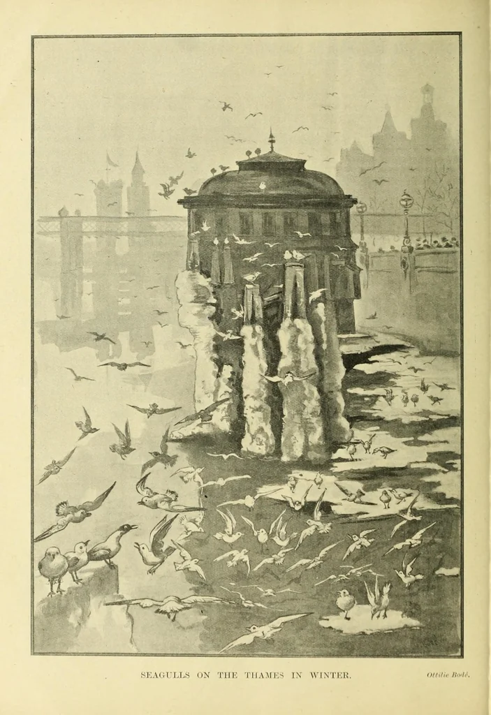 An illustration from Child life, 1891, leaf 224