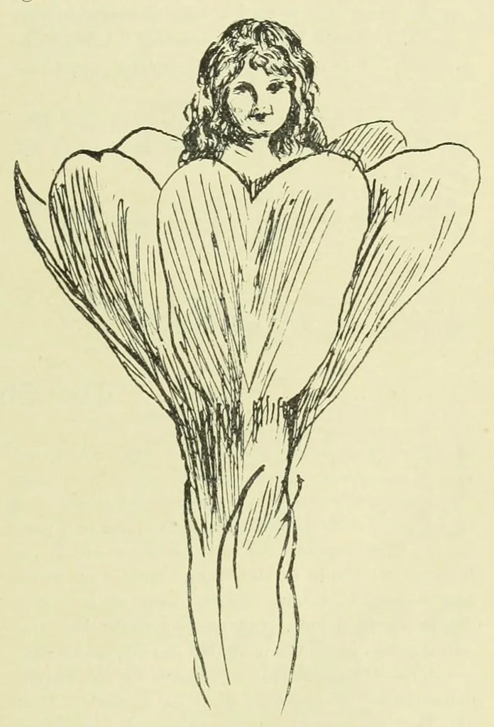 An illustration from Child life, 1891, leaf 29
