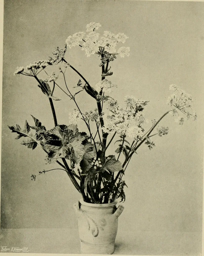 An illustration from Children and gardens, 1908, leaf 102