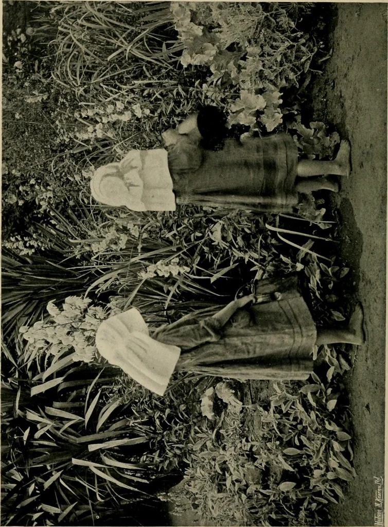 An illustration from Children and gardens, 1908, leaf 125