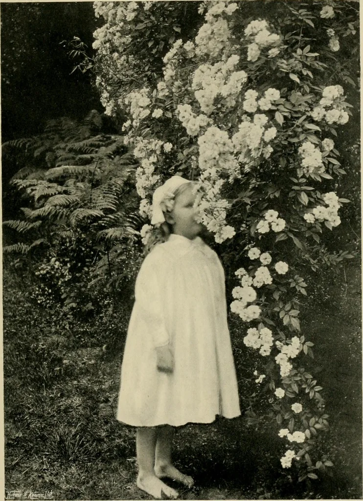 An illustration from Children and gardens, 1908, leaf 128