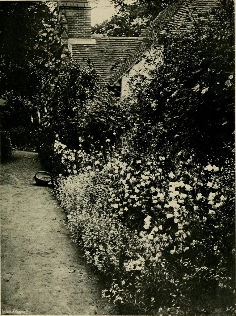An illustration from Children and gardens, 1908, leaf 132