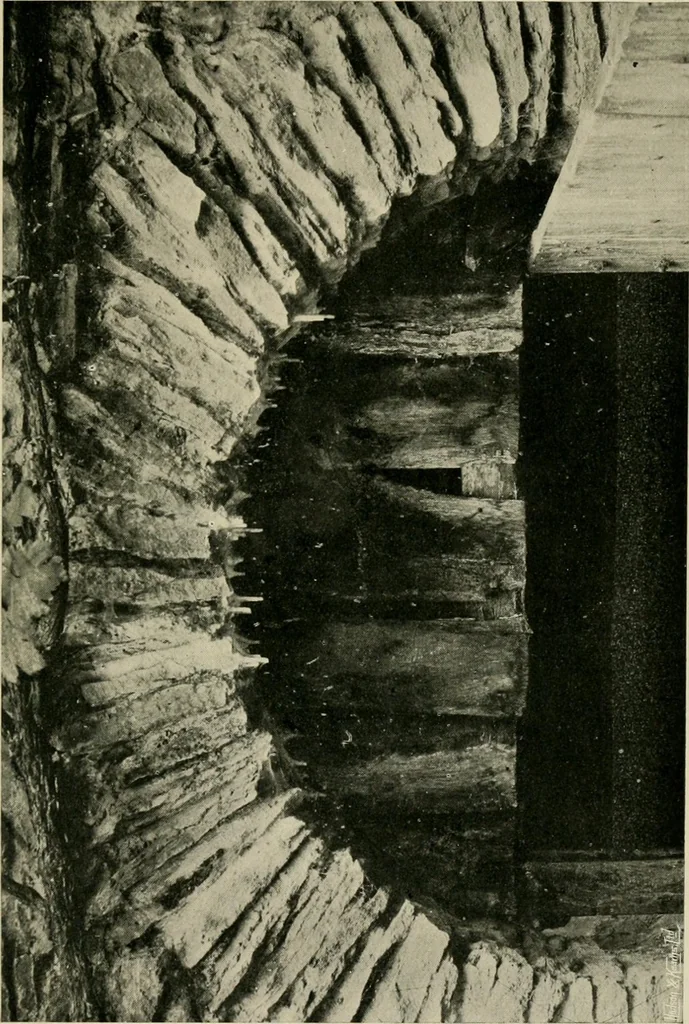 An illustration from Children and gardens, 1908, leaf 152