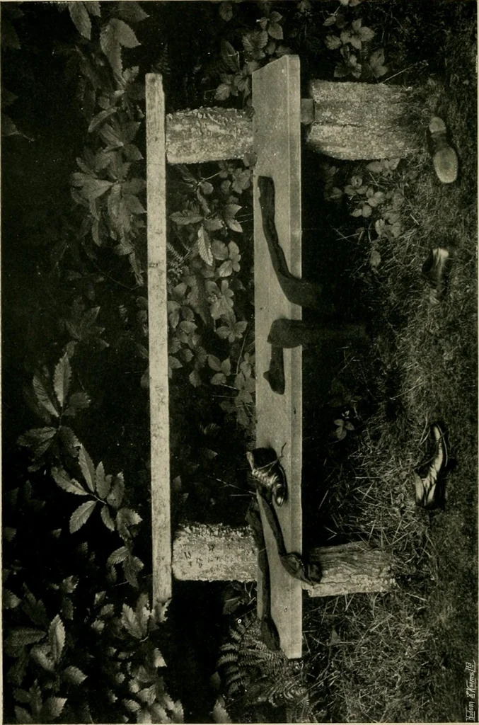 An illustration from Children and gardens, 1908, leaf 153