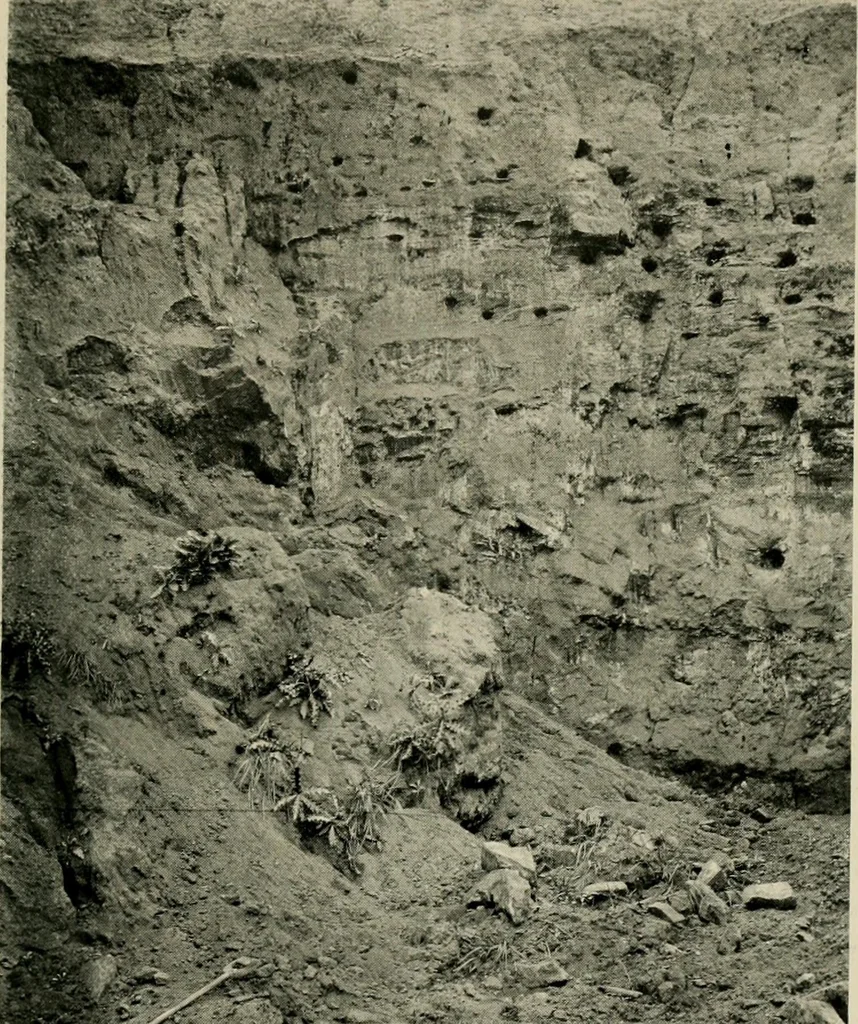 An illustration from Children and gardens, 1908, leaf 158