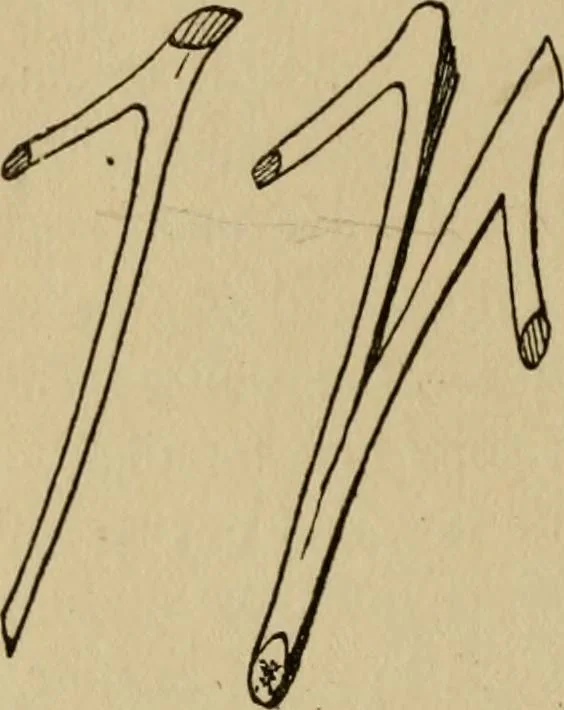 An illustration from Children and gardens, 1908, leaf 161