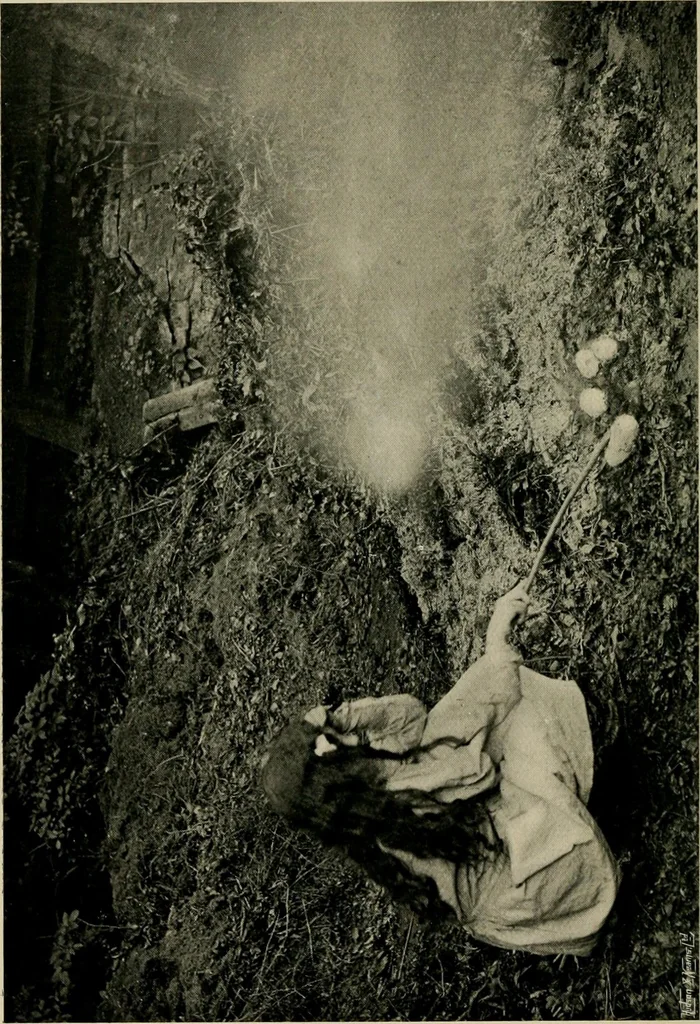 An illustration from Children and gardens, 1908, leaf 163