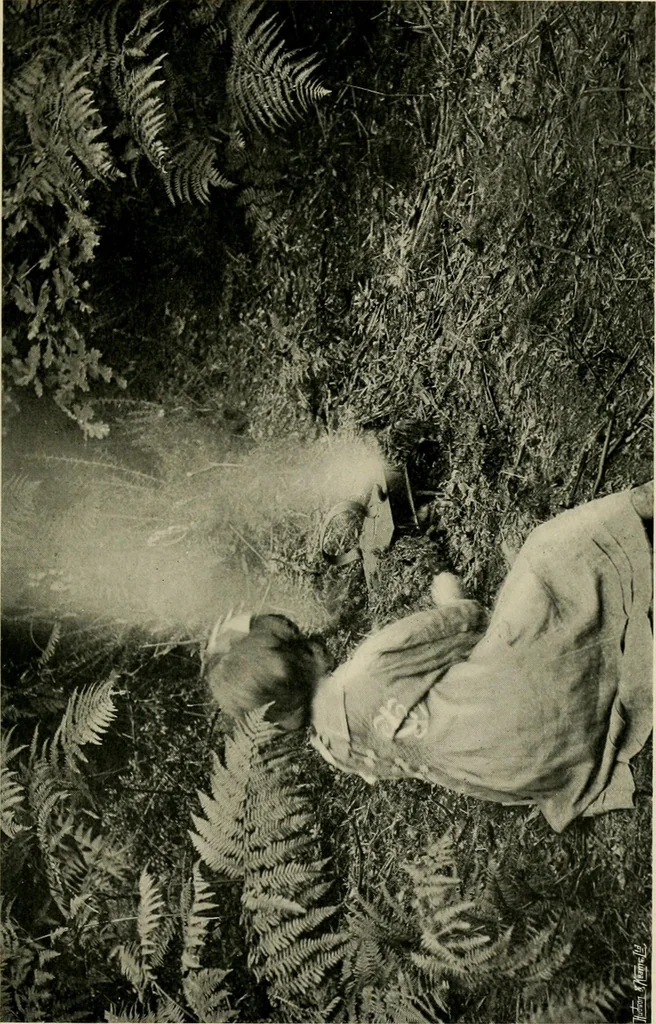 An illustration from Children and gardens, 1908, leaf 166
