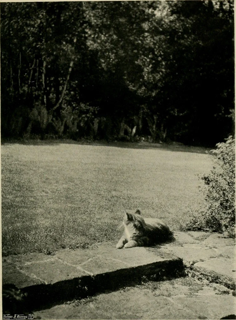 An illustration from Children and gardens, 1908, leaf 188