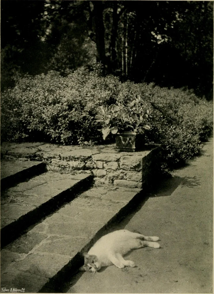 An illustration from Children and gardens, 1908, leaf 189
