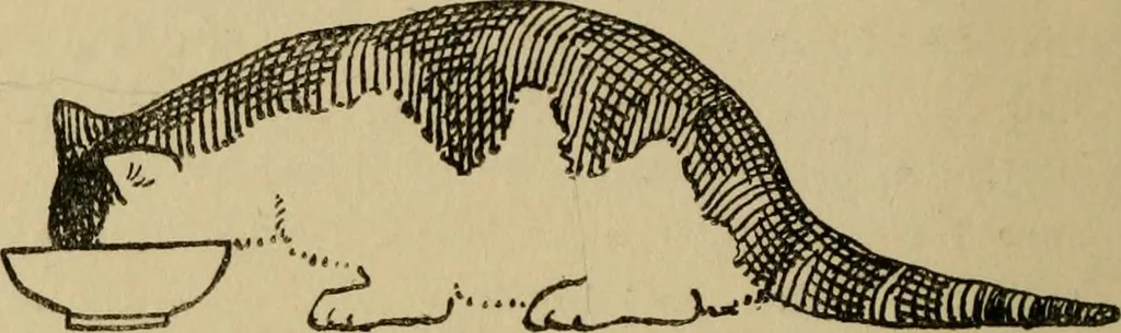 An illustration from Children and gardens, 1908, leaf 191