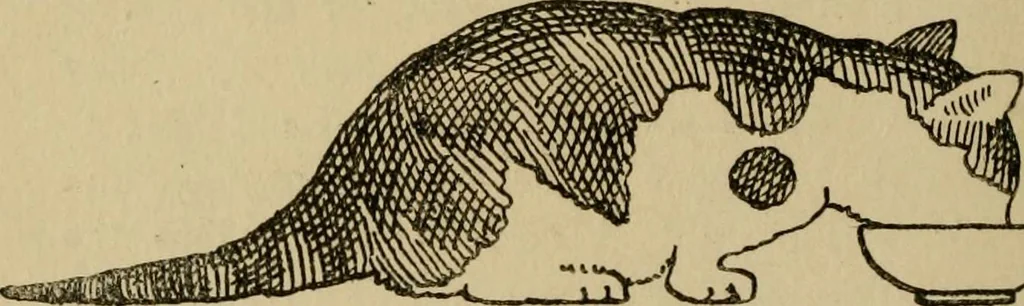 An illustration from Children and gardens, 1908, leaf 191